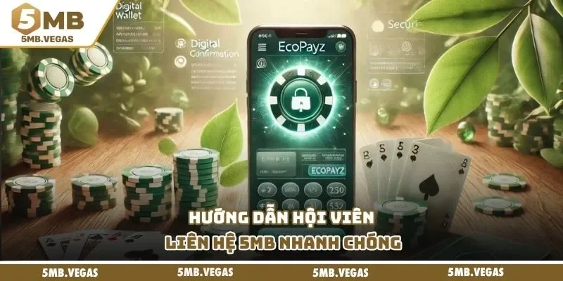 Hướng dẫn hội viên liên hệ 5MB nhanh chóng