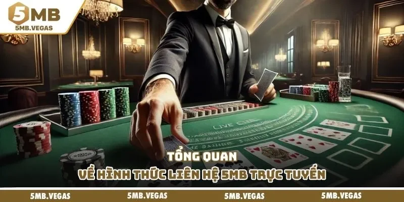 Tổng quan về hình thức liên hệ 5MB trực tuyến