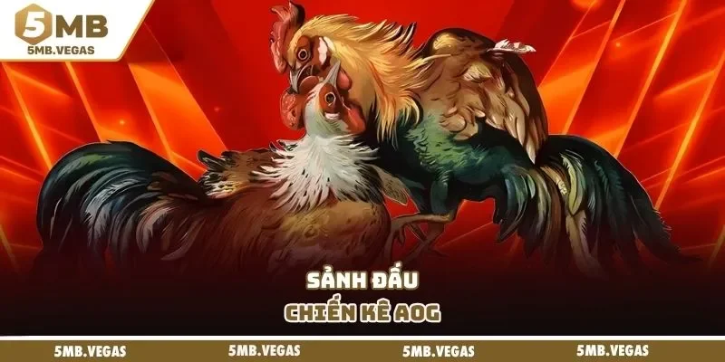 Sảnh đấu chiến kê AOG